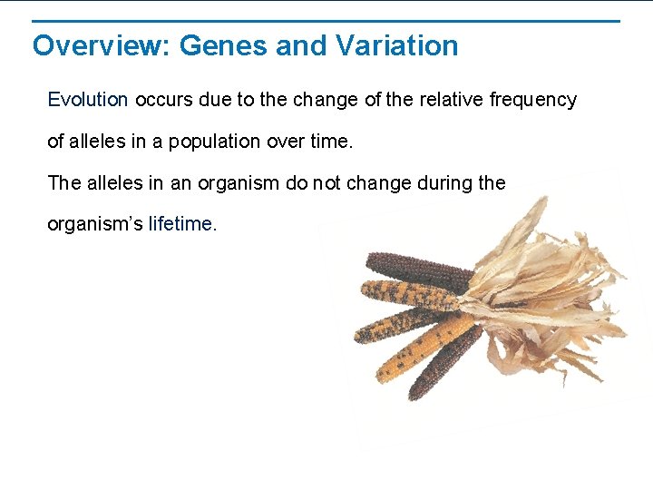 Overview: Genes and Variation Evolution occurs due to the change of the relative frequency