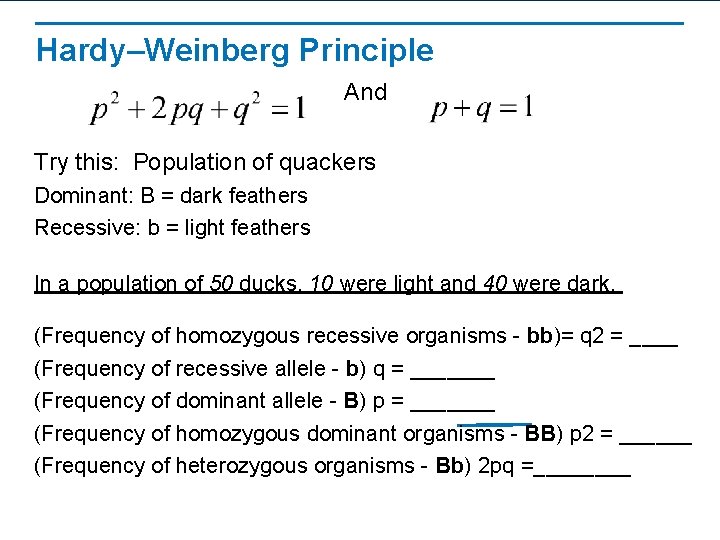 Hardy–Weinberg Principle And Try this: Population of quackers Dominant: B = dark feathers Recessive: