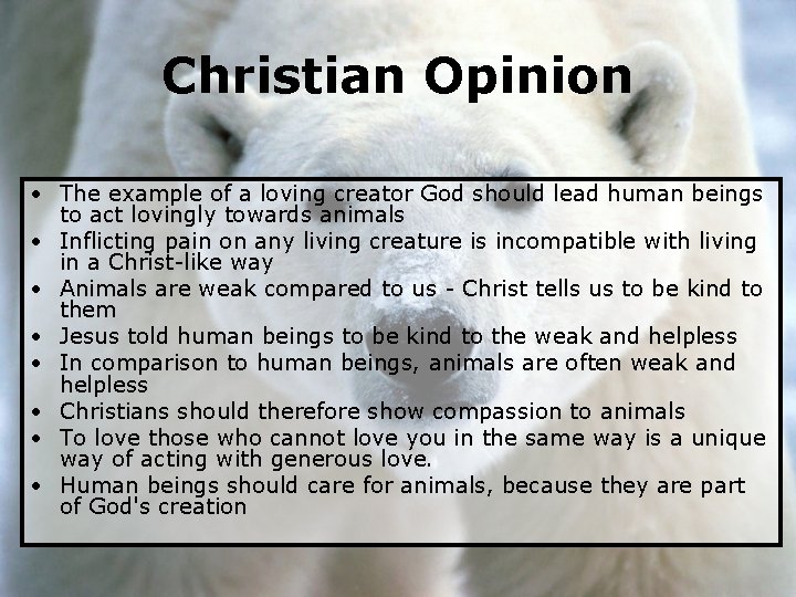 Christian Opinion • The example of a loving creator God should lead human beings Christian Opinion • The example of a loving creator God should lead human beings