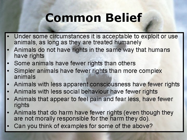 Common Belief • Under some circumstances it is acceptable to exploit or use animals,