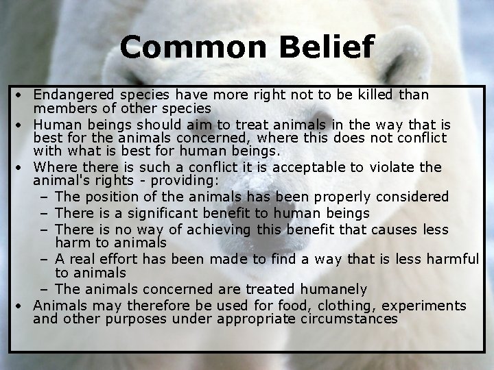 Common Belief • Endangered species have more right not to be killed than members