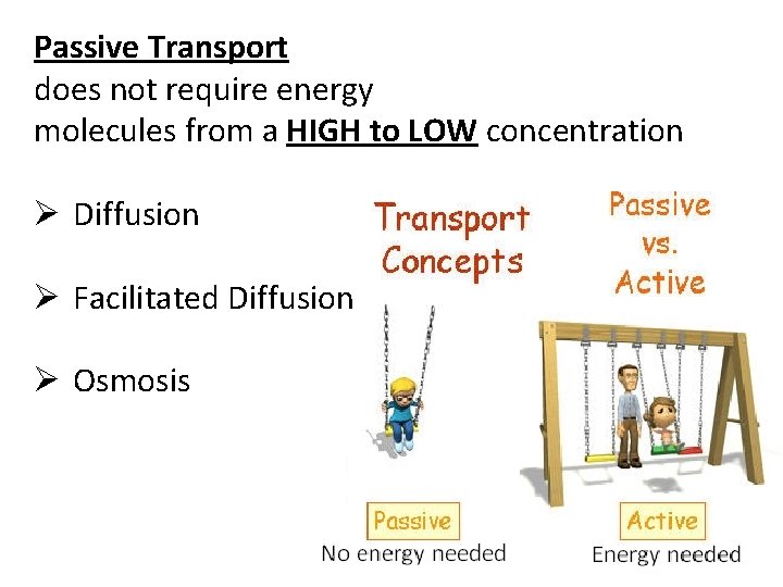 Passive Transport does not require energy molecules from a HIGH to LOW concentration Ø