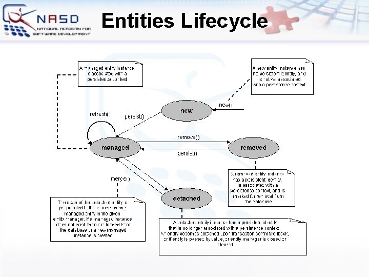 Entities Lifecycle 