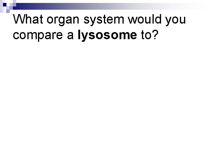 What organ system would you compare a lysosome to? 
