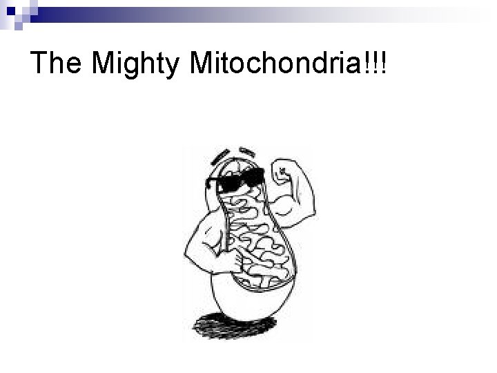 The Mighty Mitochondria!!! 