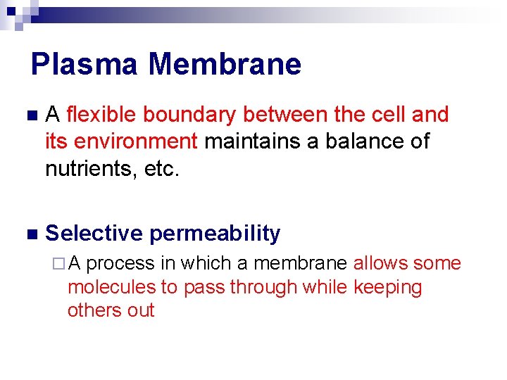 Plasma Membrane n A flexible boundary between the cell and its environment maintains a