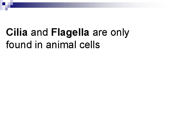 Cilia and Flagella are only found in animal cells 