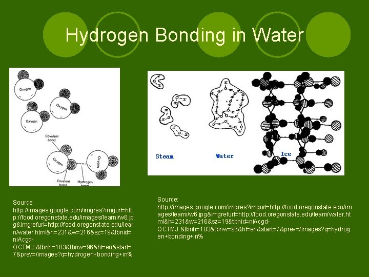 Hydrogen Bonding in Water Source: http: //images. google. com/imgres? imgurl=htt p: //food. oregonstate. edu/images/learni/w