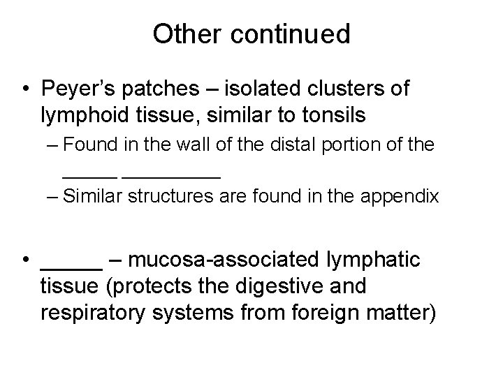 Other continued • Peyer’s patches – isolated clusters of lymphoid tissue, similar to tonsils