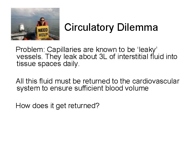 Circulatory Dilemma Problem: Capillaries are known to be ‘leaky’ vessels. They leak about 3