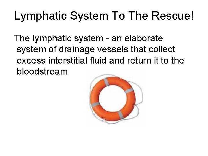 Lymphatic System To The Rescue! The lymphatic system - an elaborate system of drainage