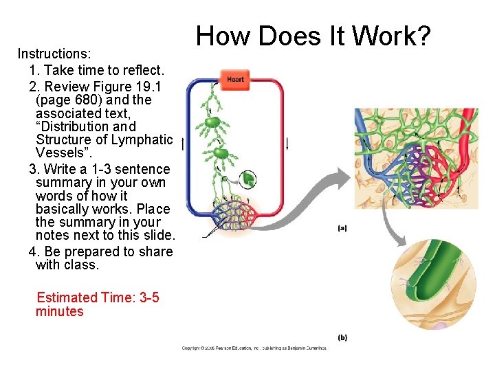 Instructions: 1. Take time to reflect. 2. Review Figure 19. 1 (page 680) and