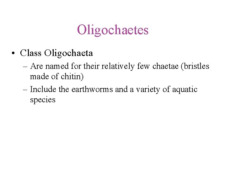 Oligochaetes • Class Oligochaeta – Are named for their relatively few chaetae (bristles made