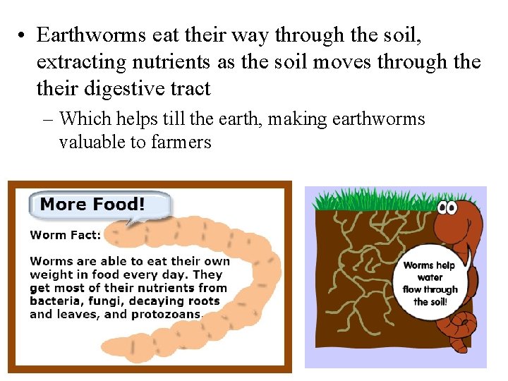  • Earthworms eat their way through the soil, extracting nutrients as the soil