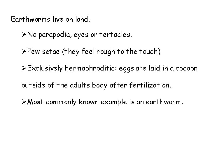 Earthworms live on land. ØNo parapodia, eyes or tentacles. ØFew setae (they feel rough