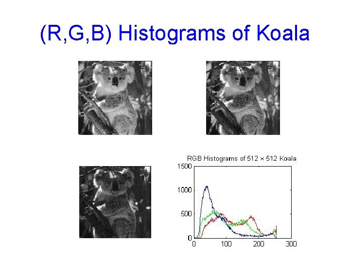 (R, G, B) Histograms of Koala 