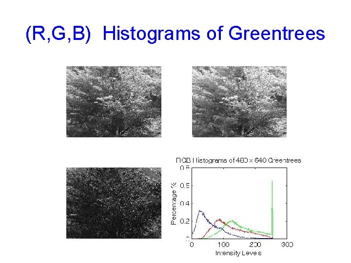 (R, G, B) Histograms of Greentrees 