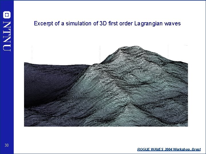 Excerpt of a simulation of 3 D first order Lagrangian waves 30 ROGUE WAVES