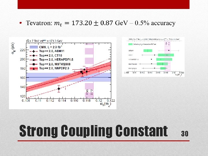  • Strong Coupling Constant 30 