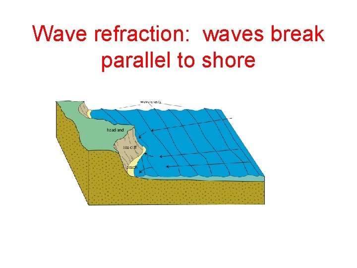 Wave refraction: waves break parallel to shore 