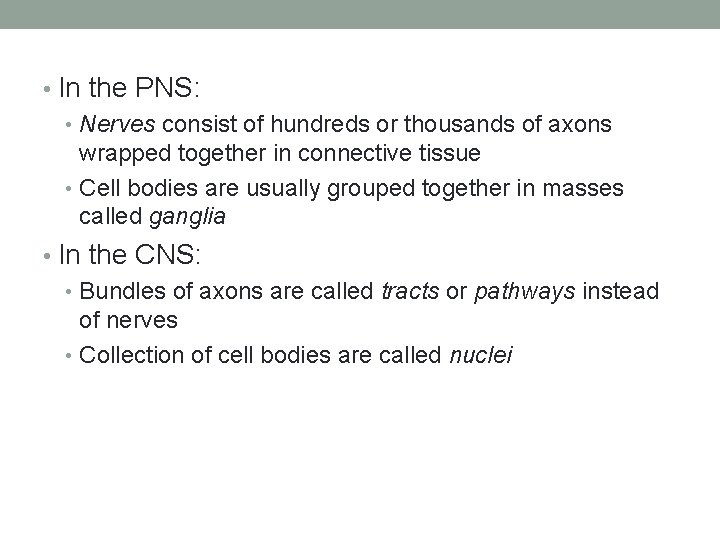  • In the PNS: • Nerves consist of hundreds or thousands of axons