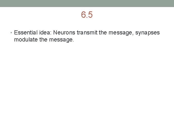 6. 5 • Essential idea: Neurons transmit the message, synapses modulate the message. 