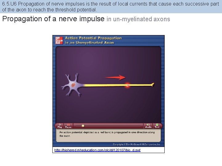 6. 5. U 6 Propagation of nerve impulses is the result of local currents
