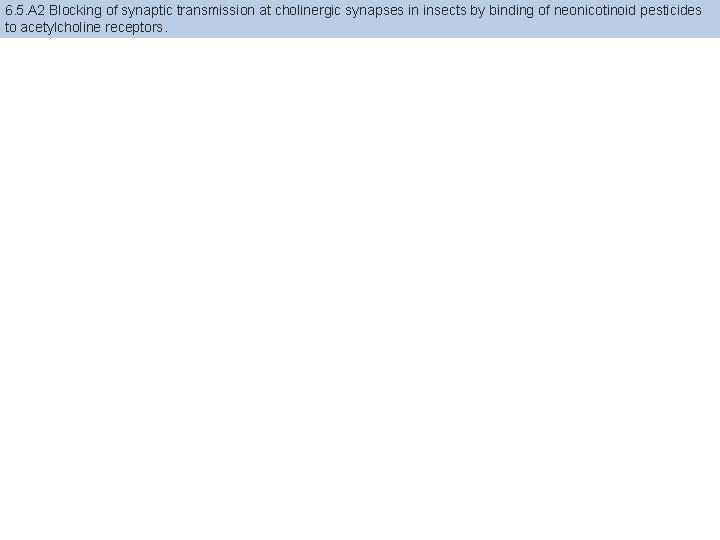 6. 5. A 2 Blocking of synaptic transmission at cholinergic synapses in insects by