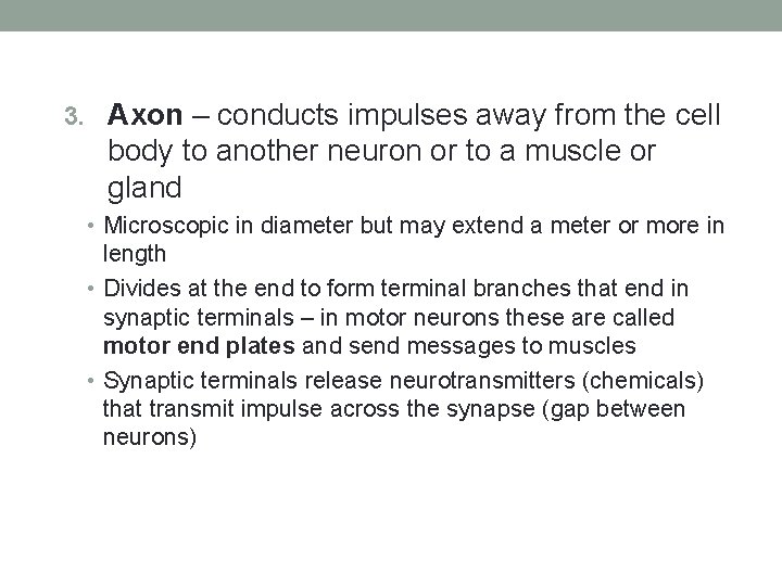 3. Axon – conducts impulses away from the cell body to another neuron or