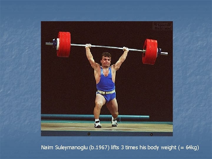 Naim Suleymanoglu (b. 1967) lifts 3 times his body weight (= 64 kg) 