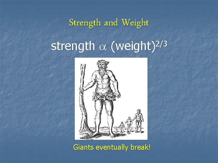 Strength and Weight strength (weight)2/3 Giants eventually break! 