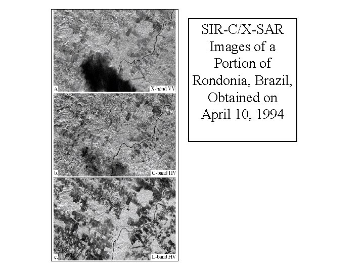 SIR-C/X-SAR Images of a Portion of Rondonia, Brazil, Obtained on April 10, 1994 