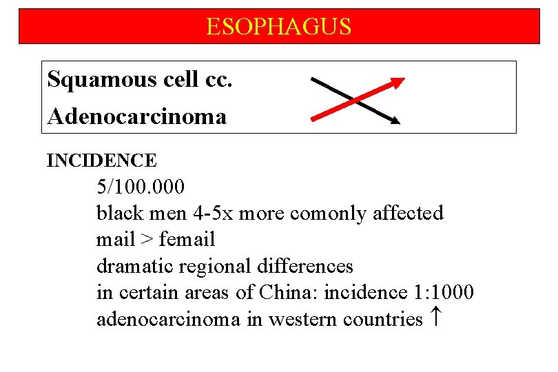 ESOPHAGUS Squamous cell cc. Adenocarcinoma INCIDENCE 5/100. 000 black men 4 -5 x more