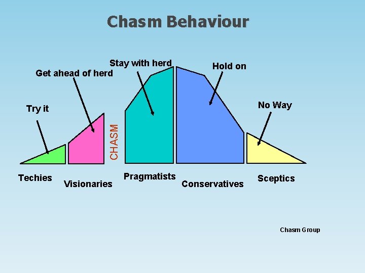 Chasm Behaviour Stay with herd Get ahead of herd Hold on No Way CHASM Chasm Behaviour Stay with herd Get ahead of herd Hold on No Way CHASM