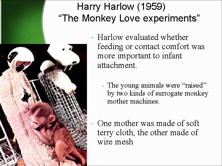 Harry Harlow (1959) “The Monkey Love experiments” ‐ Harlow evaluated whether feeding or contact