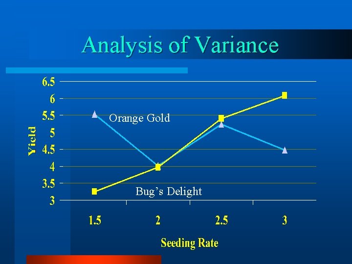 Analysis of Variance Orange Gold Bug’s Delight 