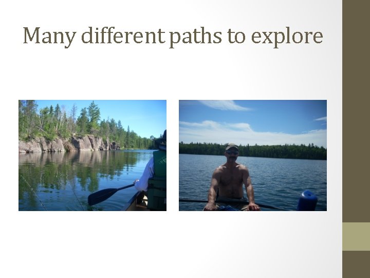 Many different paths to explore 