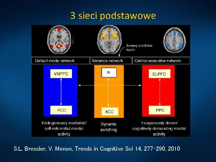 3 sieci podstawowe S. L. Bressler, V. Menon, Trends in Cognitive Sci 14, 277