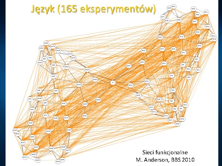 Język (165 eksperymentów) Sieci funkcjonalne M. Anderson, BBS 2010 