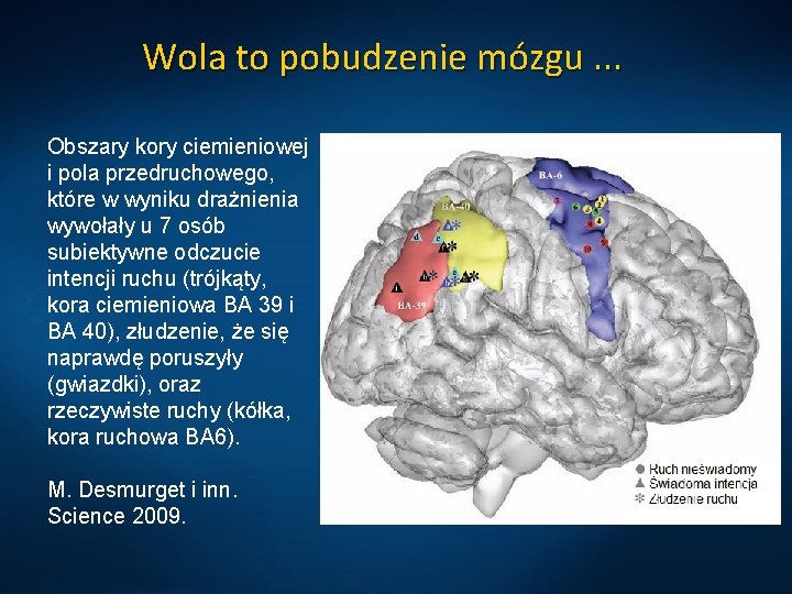 Wola to pobudzenie mózgu. . . Obszary kory ciemieniowej i pola przedruchowego, które w