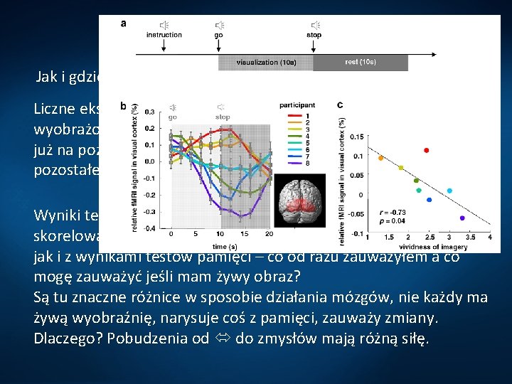 Wyobraźnia Jak i gdzie tworzą się obrazy mentalne? Liczne eksperymenty pokazują, że reprezentacja obrazów