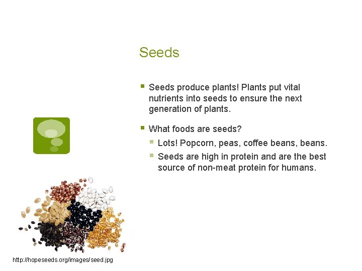 Seeds § Seeds produce plants! Plants put vital nutrients into seeds to ensure the Seeds § Seeds produce plants! Plants put vital nutrients into seeds to ensure the