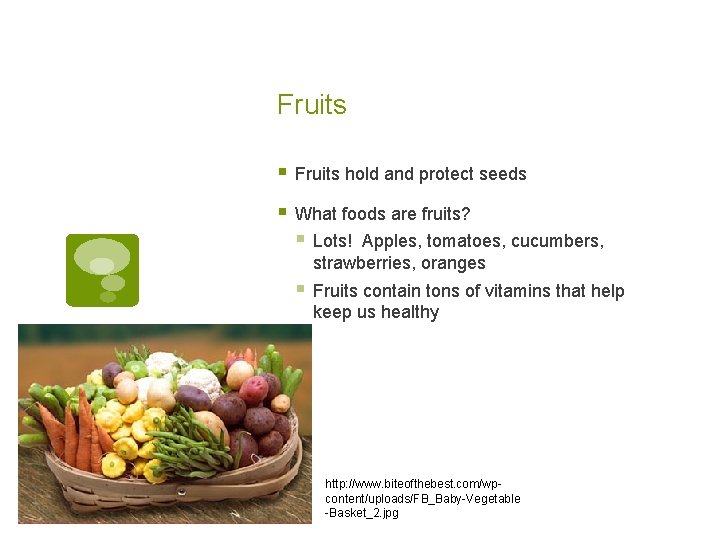 Fruits § Fruits hold and protect seeds § What foods are fruits? § Lots! Fruits § Fruits hold and protect seeds § What foods are fruits? § Lots!