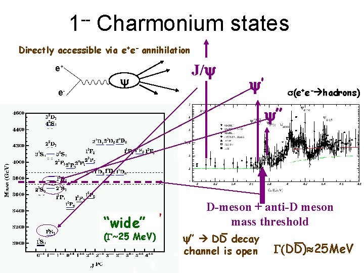 1 -- Charmonium states Directly accessible via e+e- annihilation e+ e- J/ ’ (e+e-