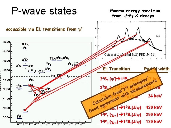 P-wave states Gamma energy spectrum from ’ g X decays accessible via E 1