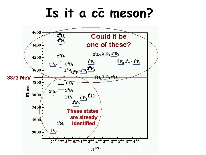 Is it a cc meson? Could it be one of these? 3872 Me. V