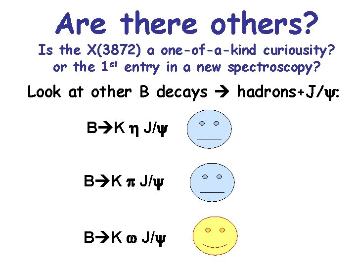 Are there others? Is the X(3872) a one-of-a-kind curiousity? or the 1 st entry