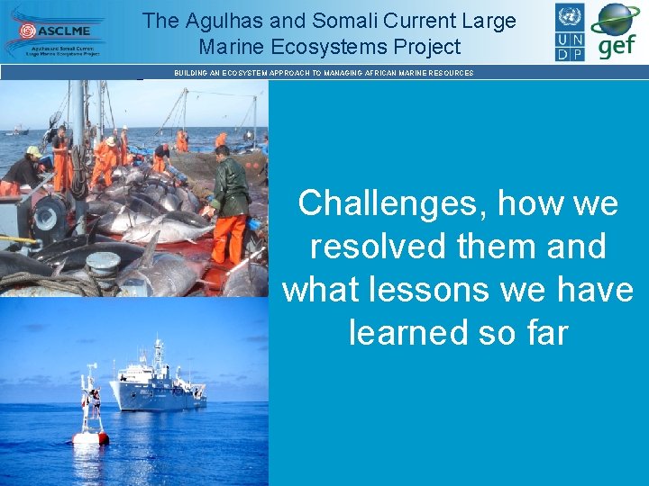 The Agulhas and Somali Current Large Marine Ecosystems Project BUILDING AN ECOSYSTEM APPROACH TO