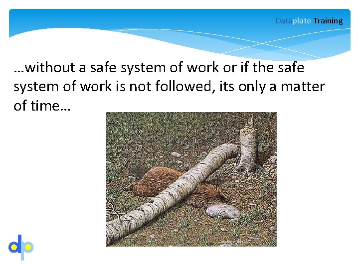 Dataplate Training …without a safe system of work or if the safe system of