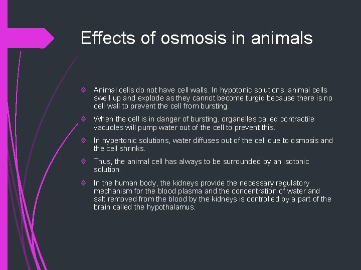 Effects of osmosis in animals Animal cells do not have cell walls. In hypotonic